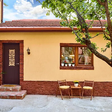 Apartman Exotic Jungle-inspired Oasis Temesvár